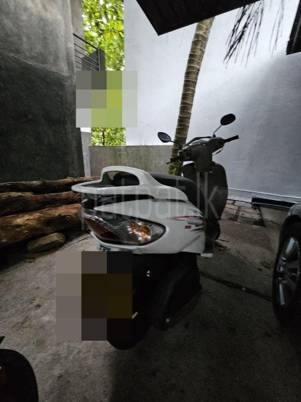 TVS Wego 2015 - பயன்படுத்தப்பட்டது பைக் sale in Sri Lanka - patpat.lk