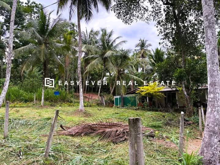 Commercial Land for Sale in Kirindiwela
