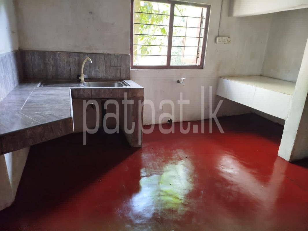 House for Rent in Pilimatalawa