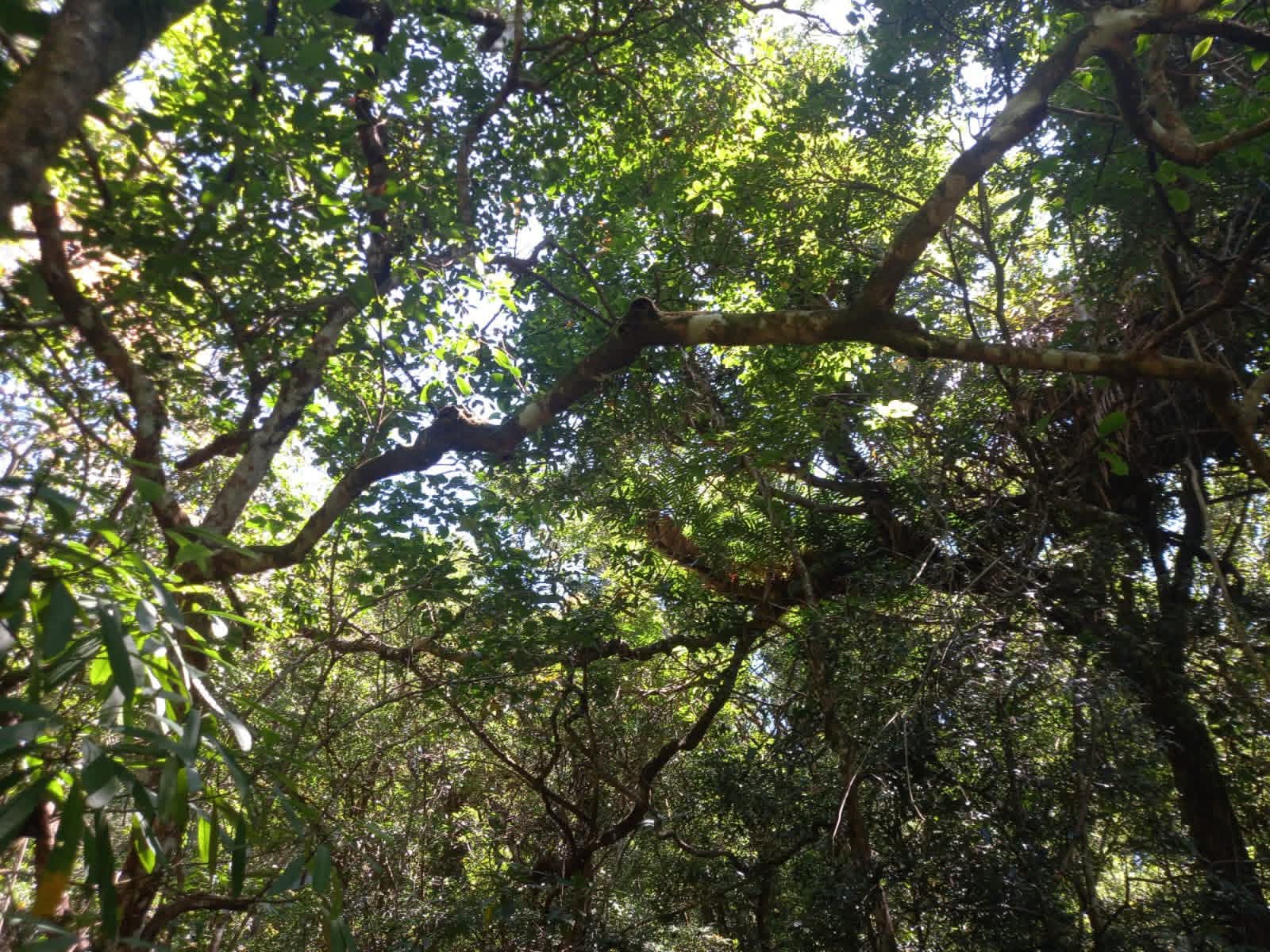 Agricultural Land for Sale in Belihuloya