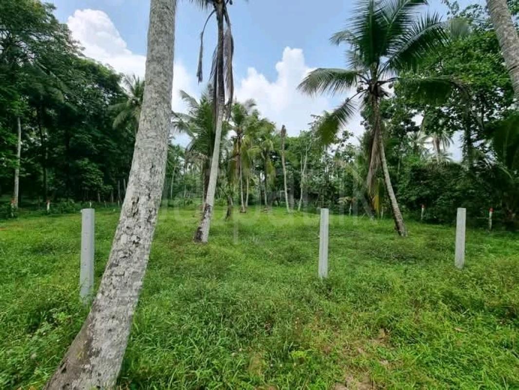 Commercial Land for Sale in Minuwangoda