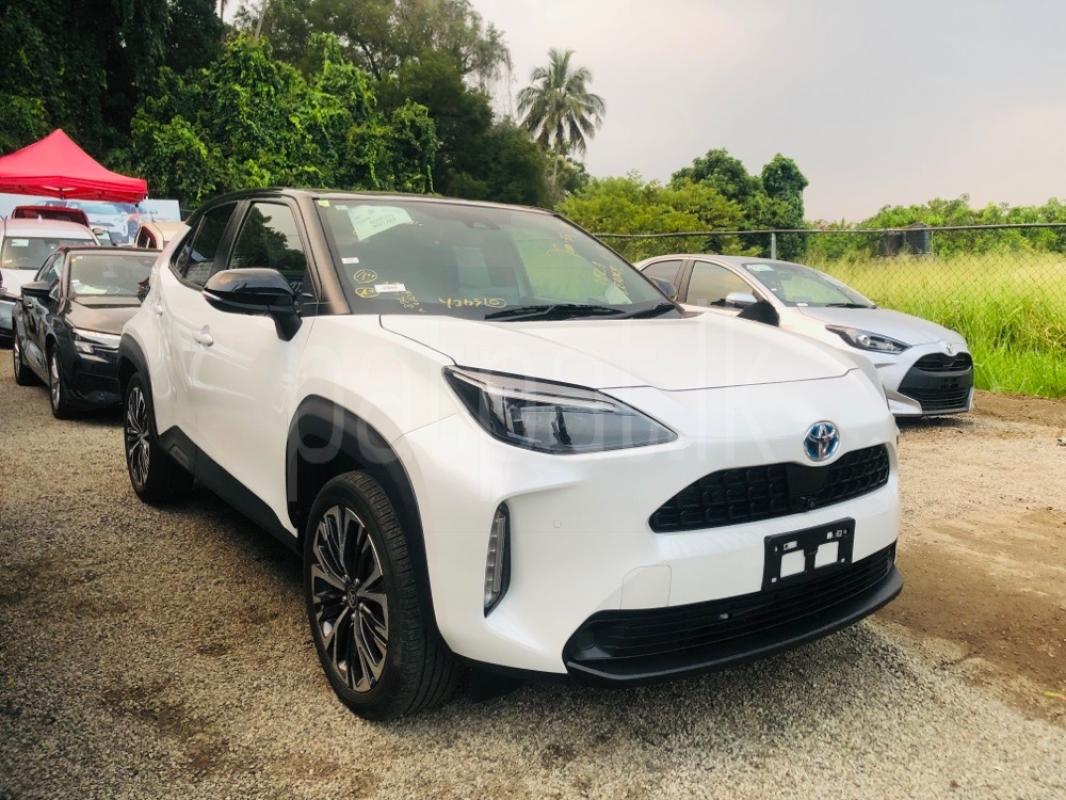 Advertisement image 1