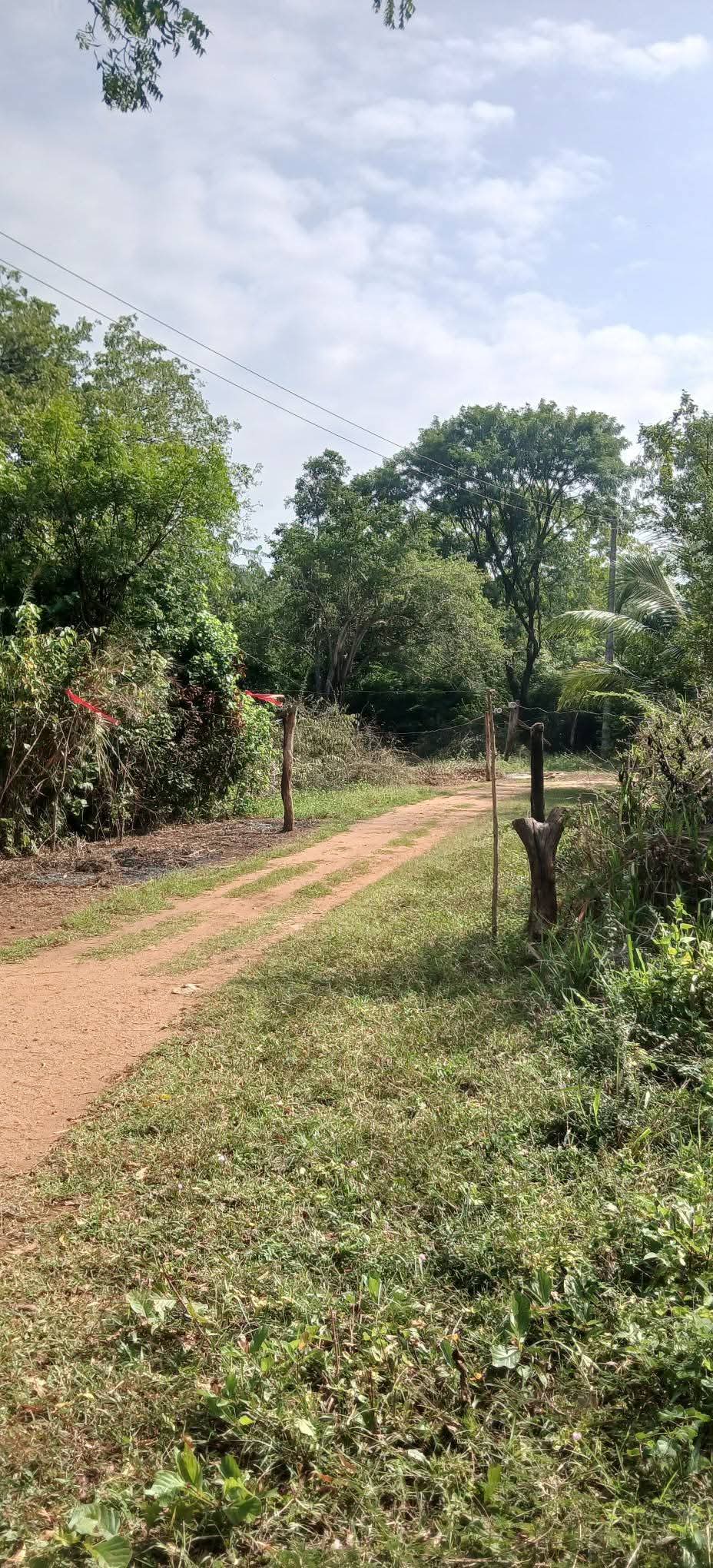 Residential Land for Sale in Kataragama