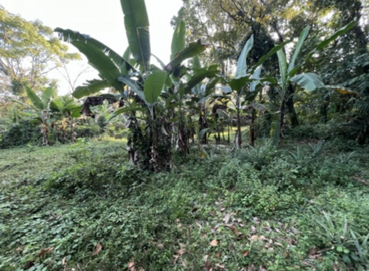 Residential Land for Sale in Kumbuka