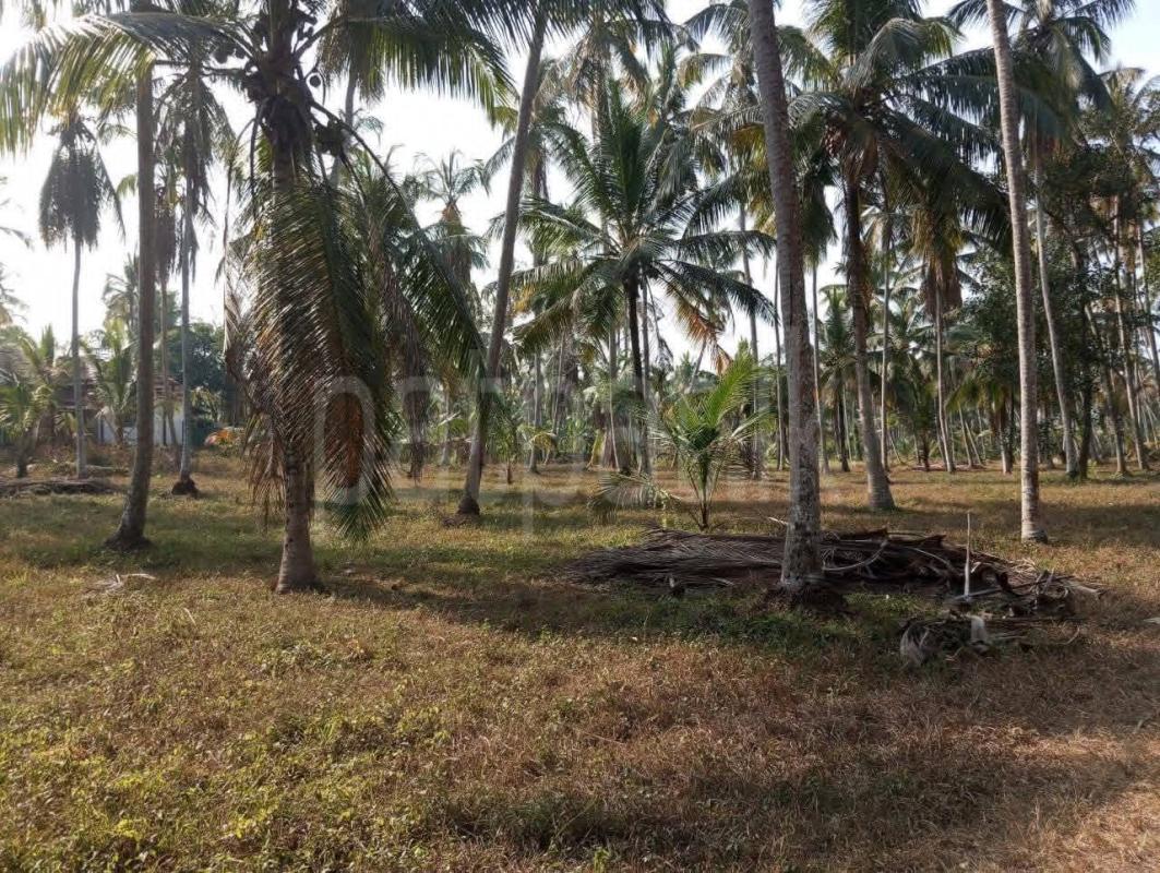 Agricultural Land for Sale in Divulapitiya