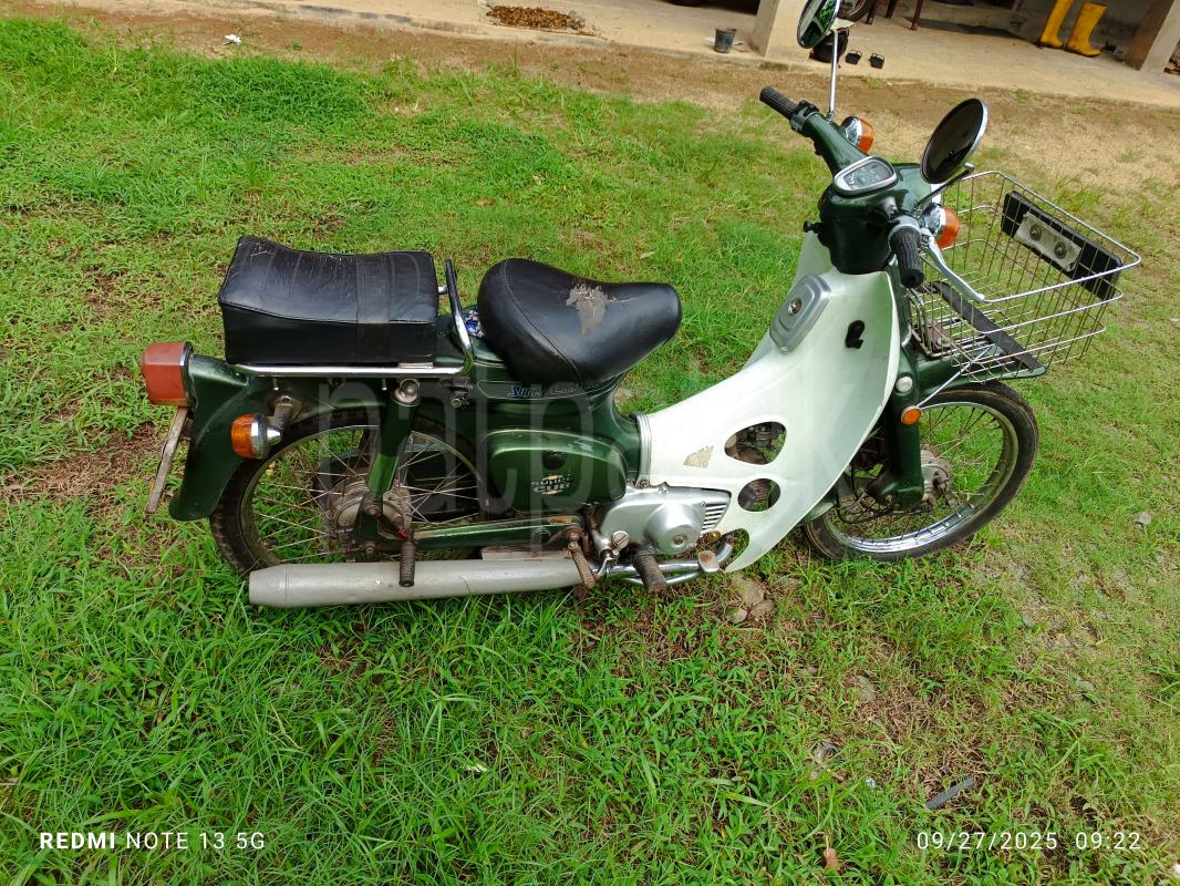 Advertisement image 2