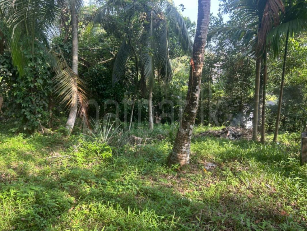 Residential Land for Sale in Polgasowita