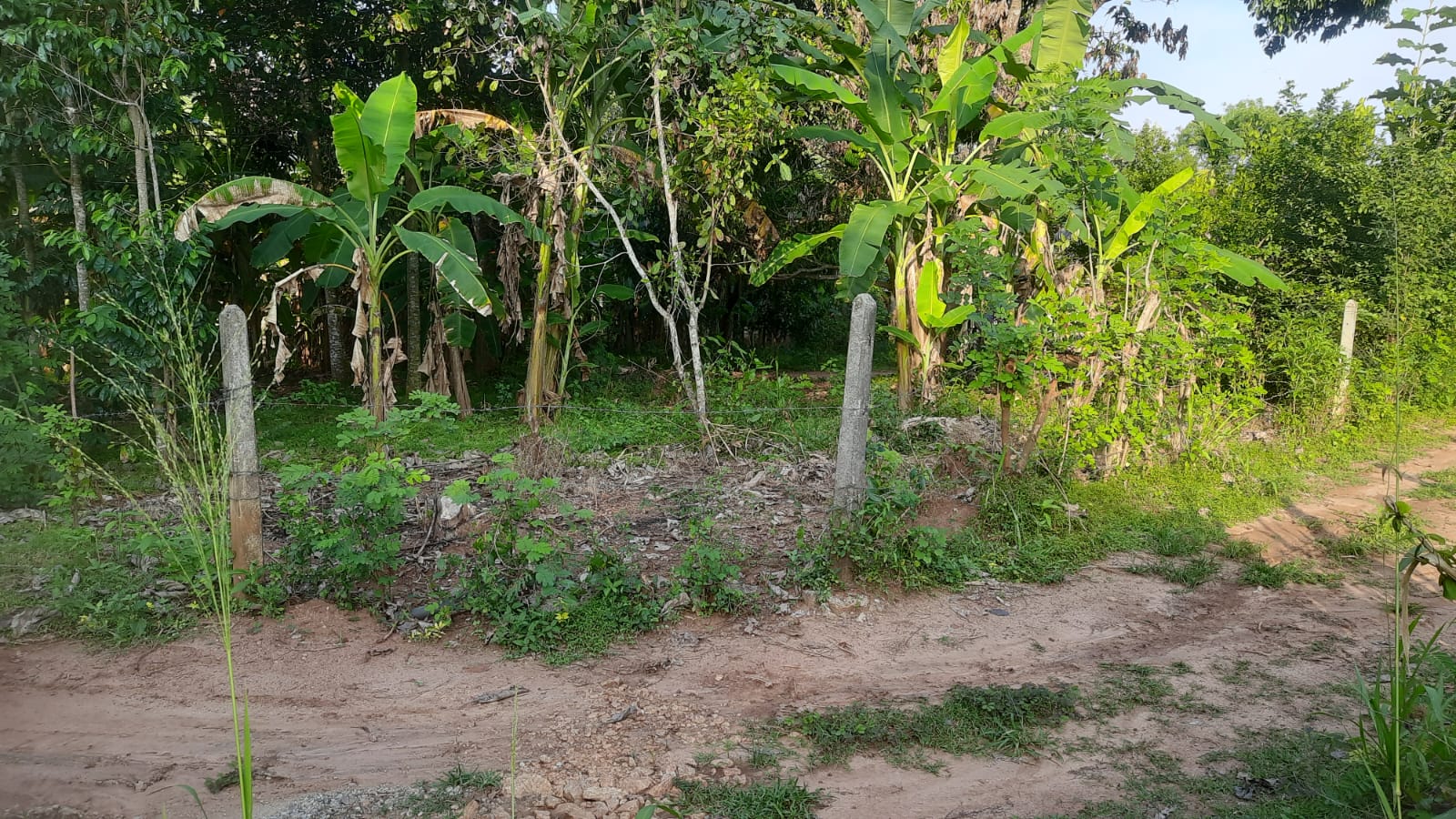 Residential Land for Sale in Anuradhapura