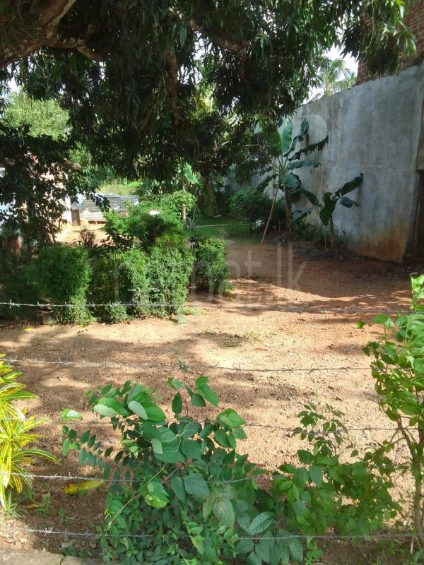 Commercial Land for Sale in Kebithigollewa