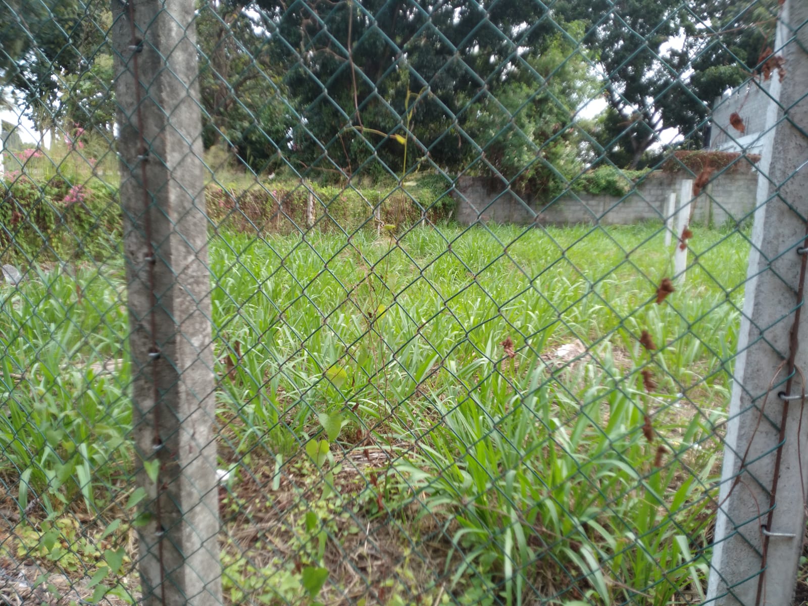 Commercial Land for Sale in Kandana