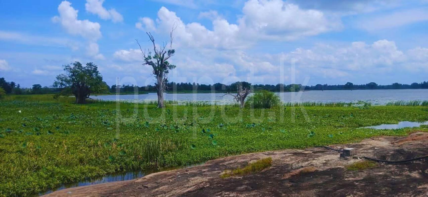 Agricultural Land for Sale in Kataragama