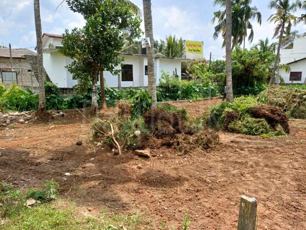 Residential Land for Sale in Maggona