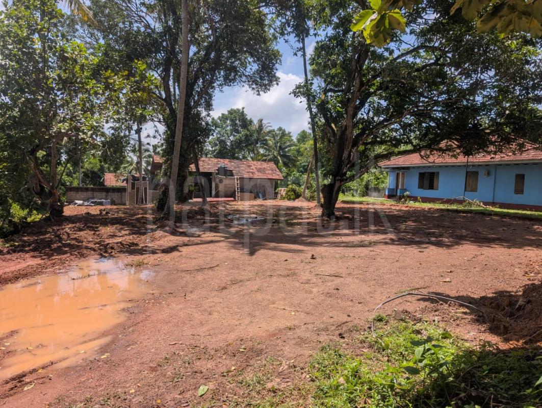 Residential Land for Sale in Pannala