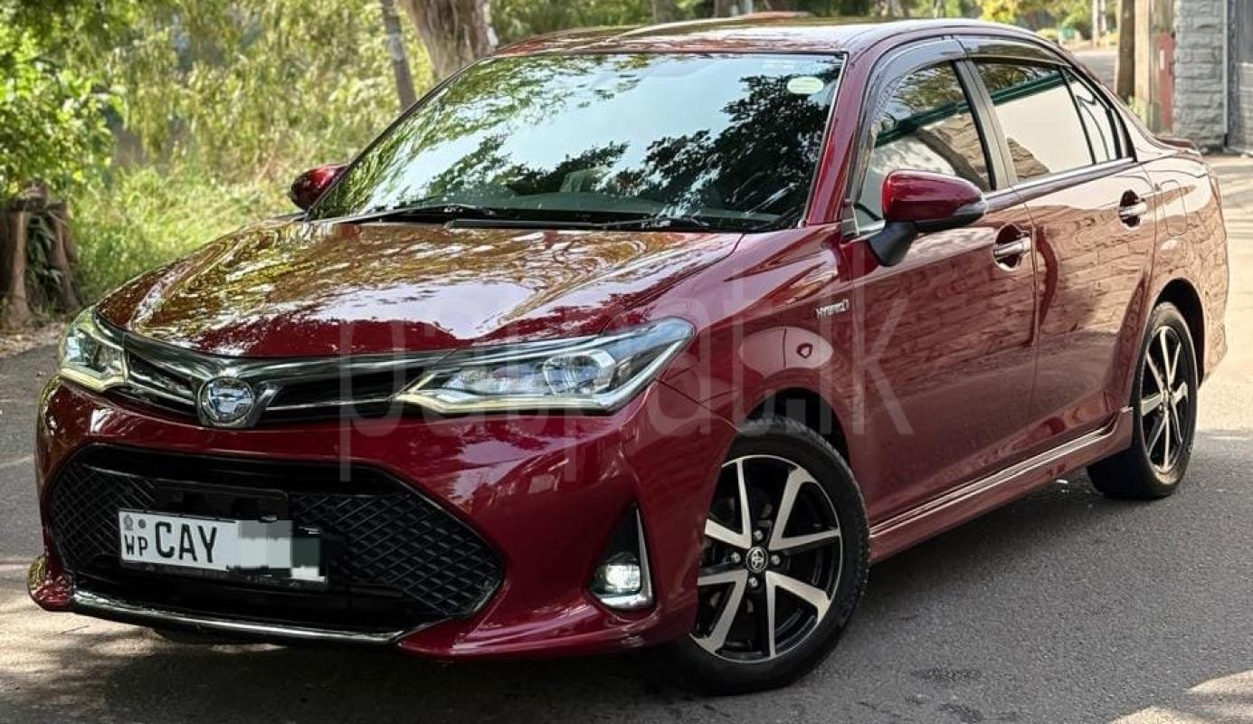 Advertisement image 1