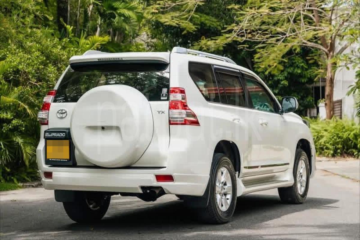 Advertisement image 4