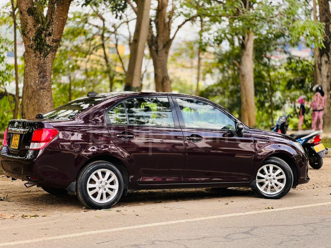 Advertisement image 3