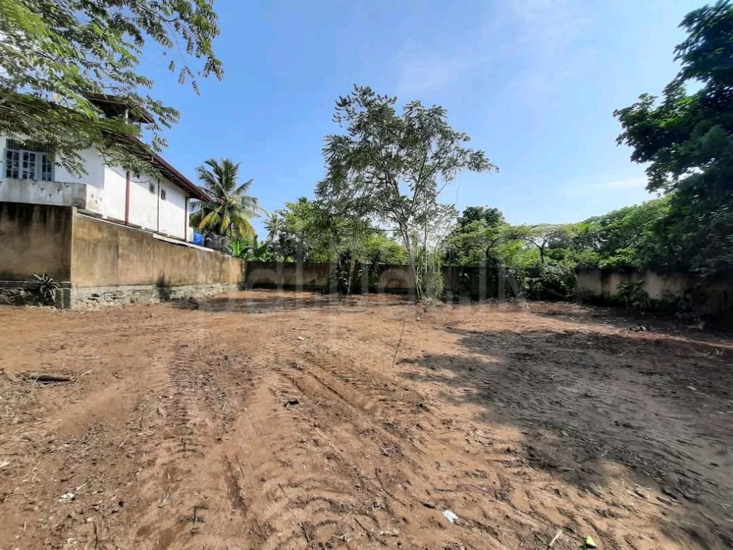 Residential Land for Sale in Akarawita ads-image-1