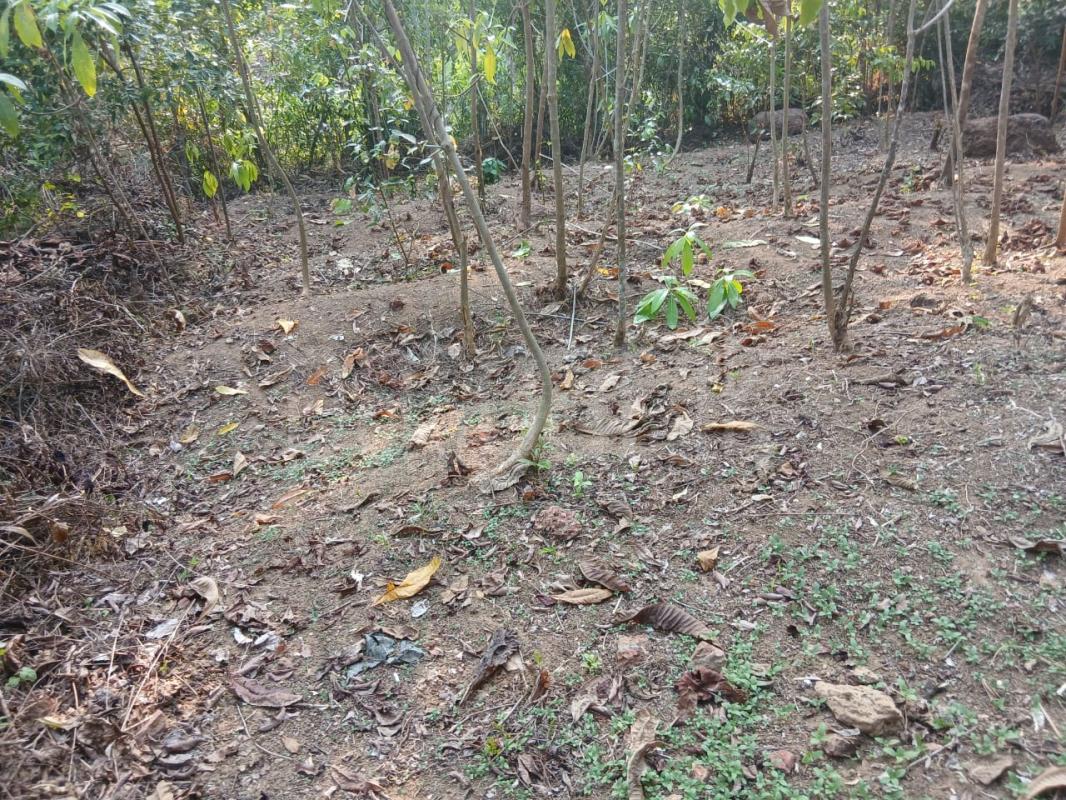 Residential Land for Sale in Kalutara ads-image-1