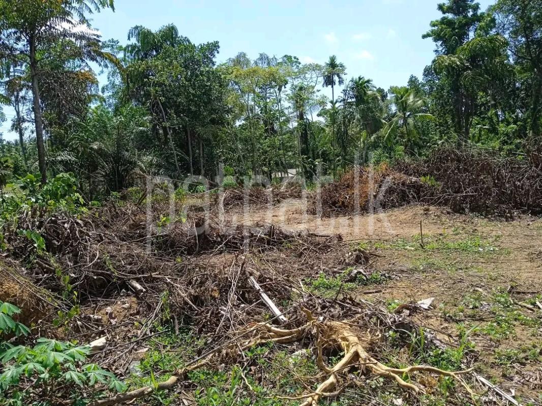 Agricultural Land for Sale in Mawathagama