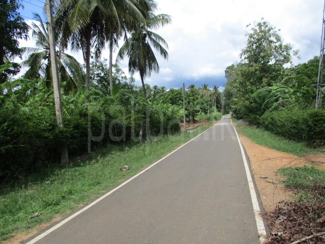 Commercial Land for Sale in Habarana