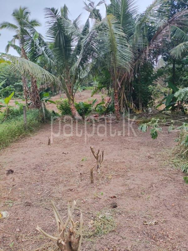 Residential Land for Sale in Gampaha