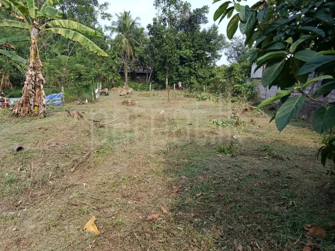 Residential Land for Sale in Galewela