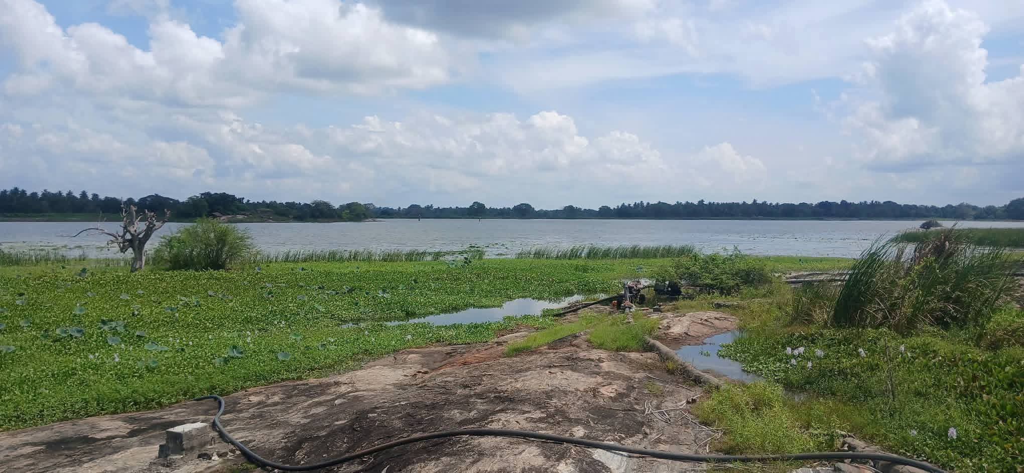 Agricultural Land for Sale in Kataragama