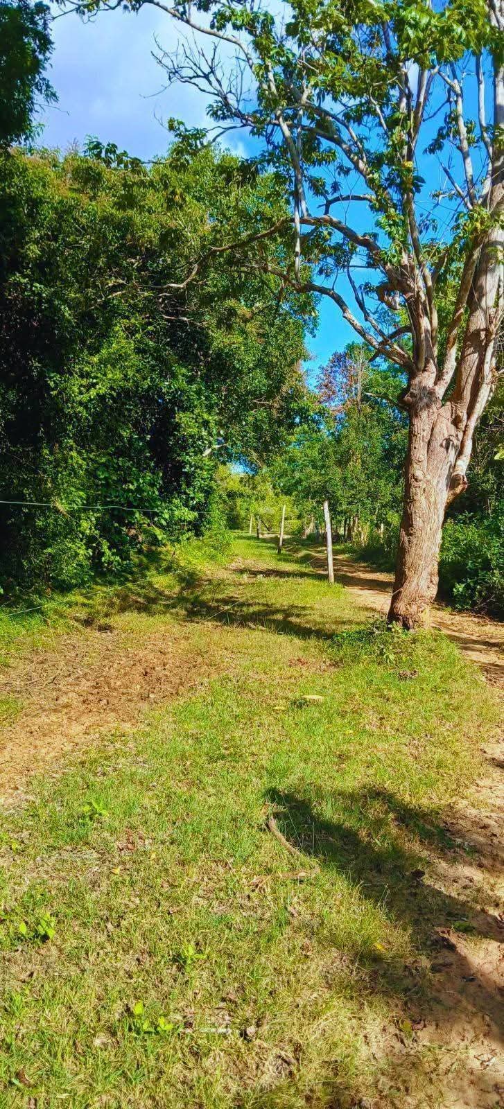 Residential Land for Sale in Kataragama