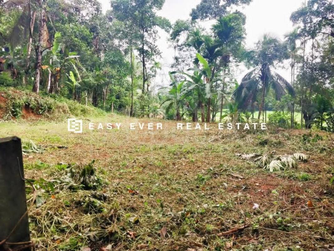 Residential Land for Sale in Nittambuwa