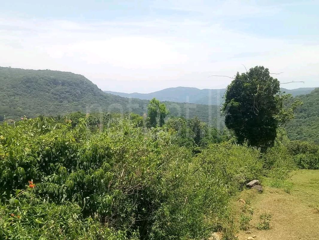 Agricultural Land for Sale in Matale ads-image-1