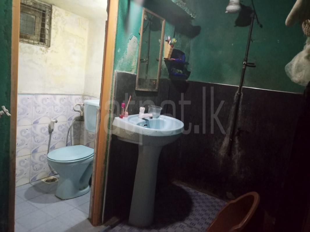 Advertisement image 6