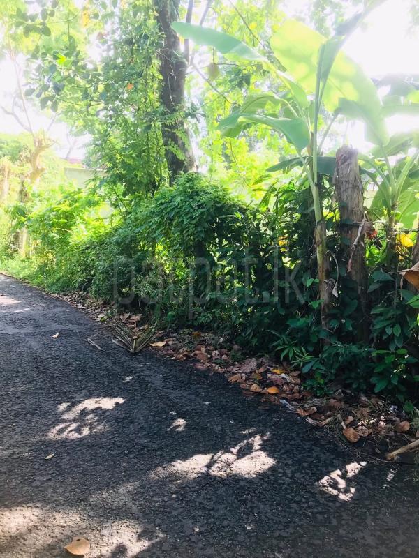 Commercial Land for Sale in Unawatuna ads-image-1
