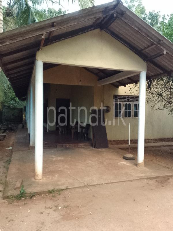 House for Sale in Udawalawe ads-image-1