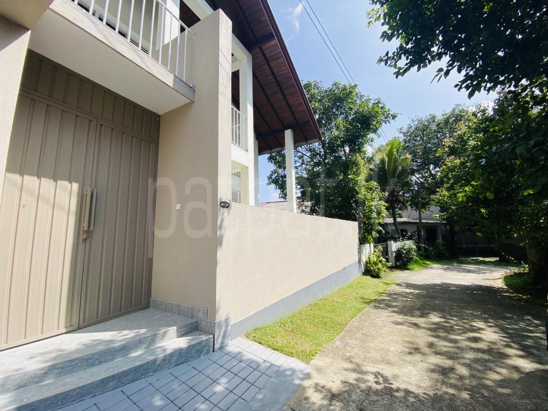 Advertisement image 16