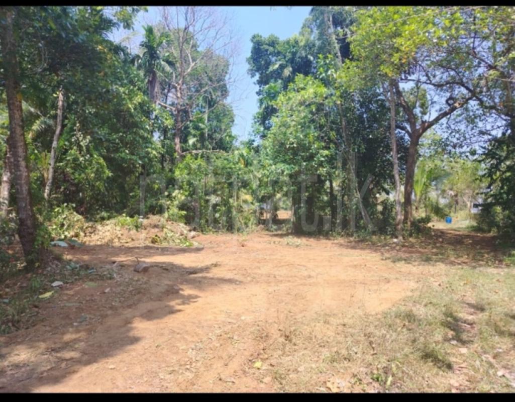 Residential Land for Sale in Dompe ads-image-1