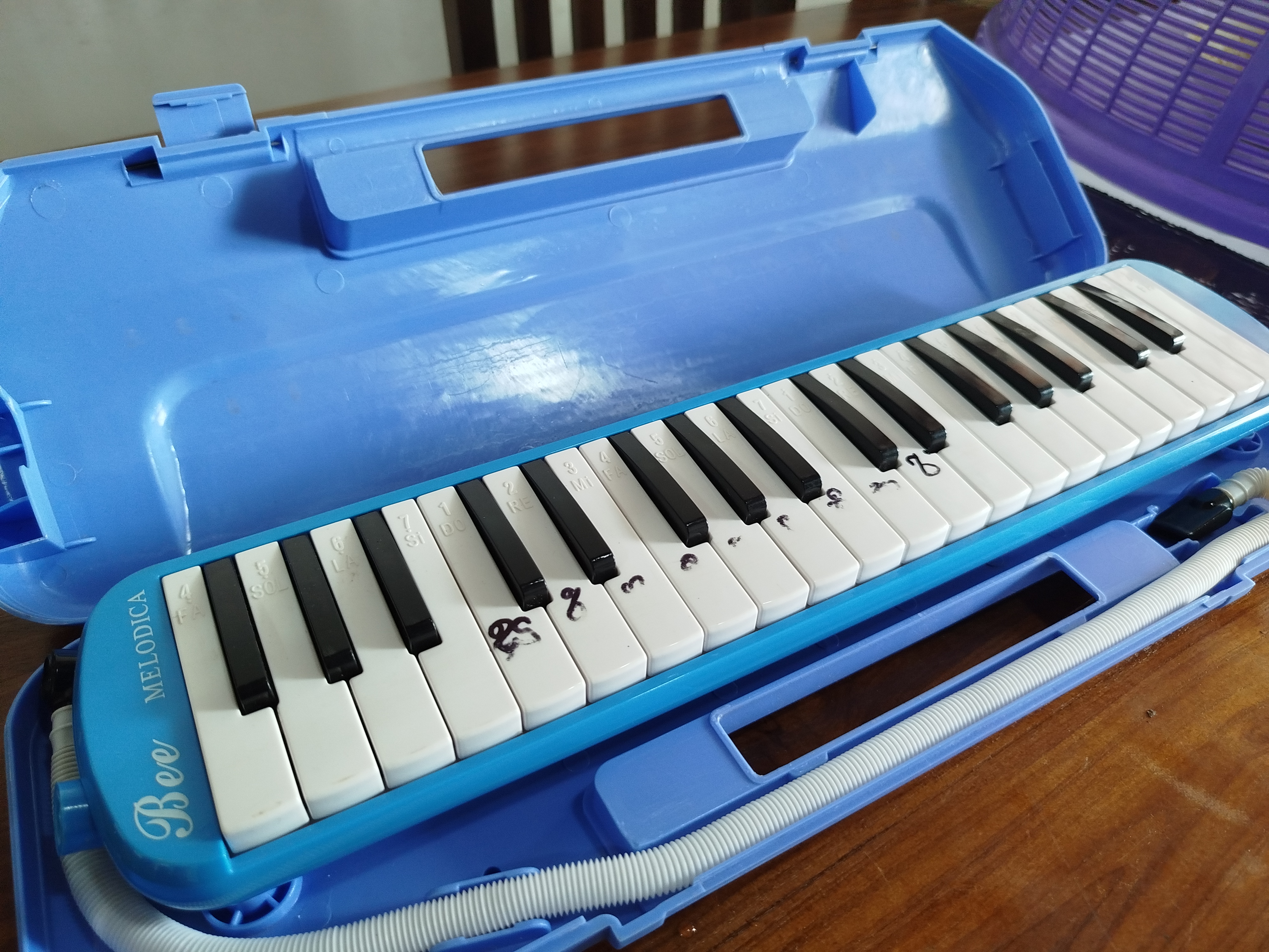 Melodica