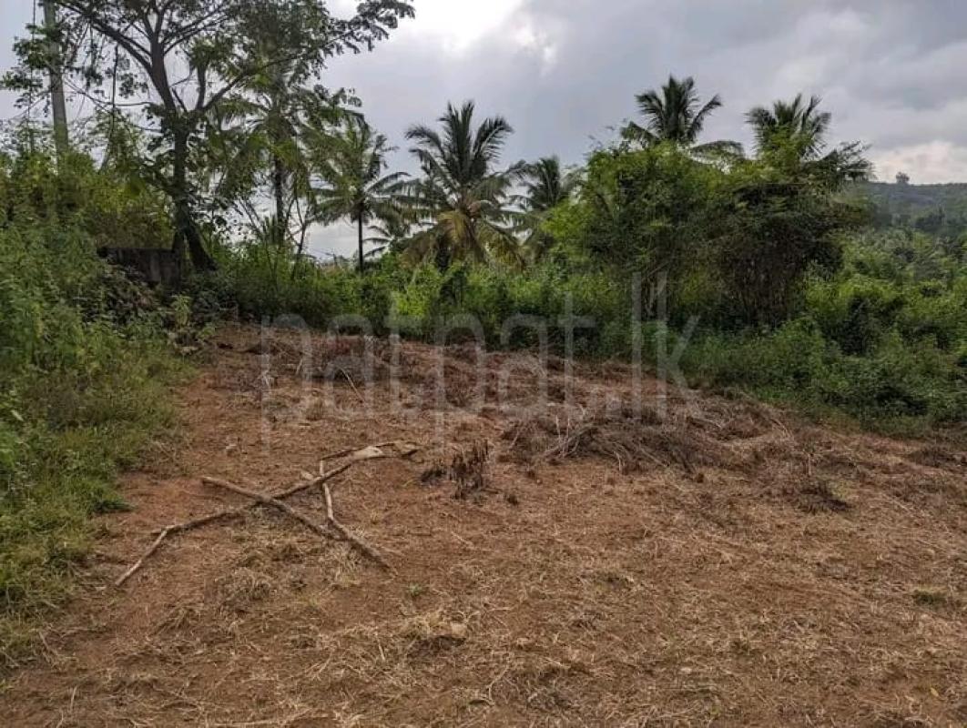 listing-image