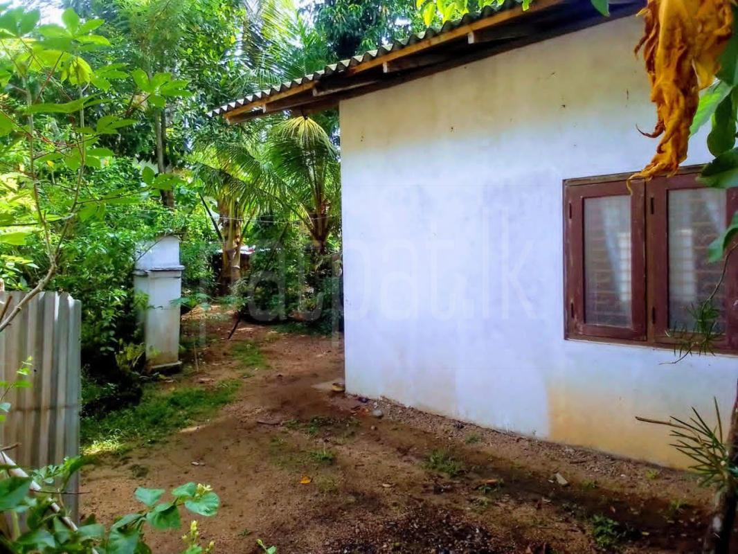 House for Sale in Veyangoda