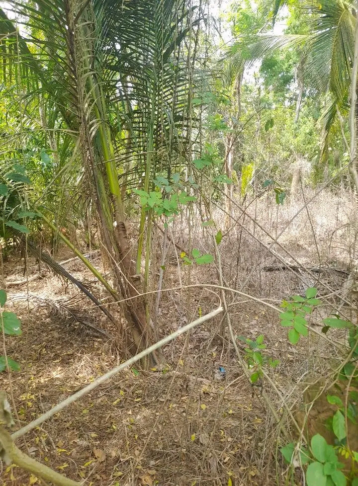 Residential Land for Sale in Tangalla