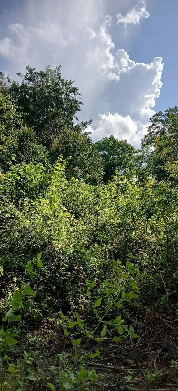 Residential Land for Sale in Kataragama