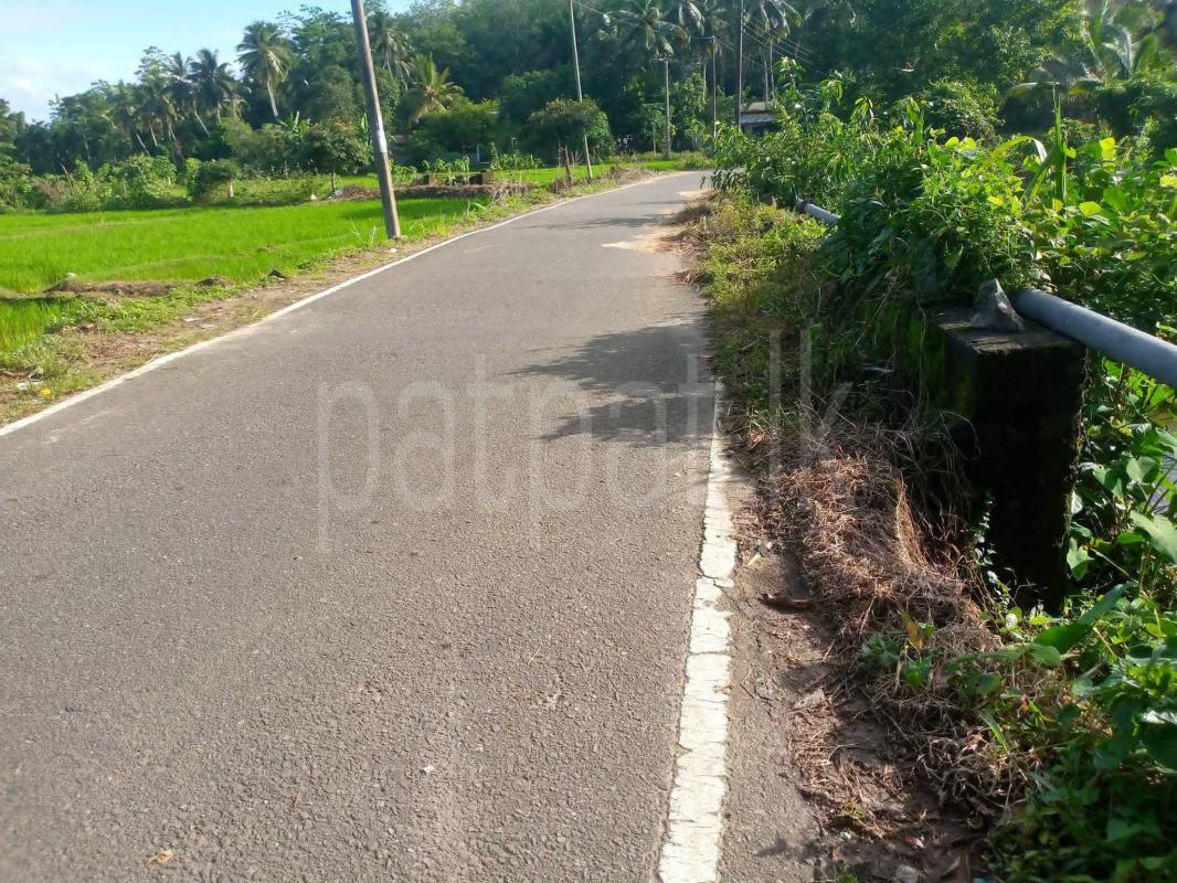 Agricultural Land for Sale in Horana