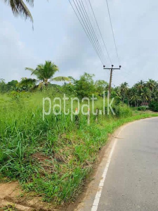 Residential Land for Sale in Veyangoda