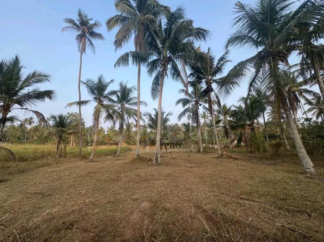 Agricultural Land for Sale in Badalgama