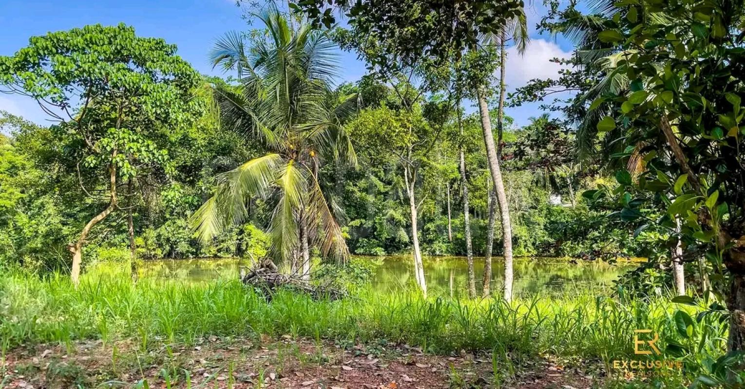 Agricultural Land for Sale in Yakkala