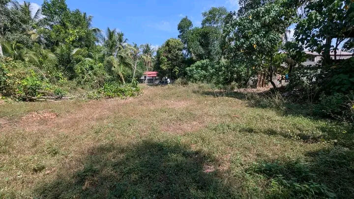 Commercial Land for Sale in Weliveriya