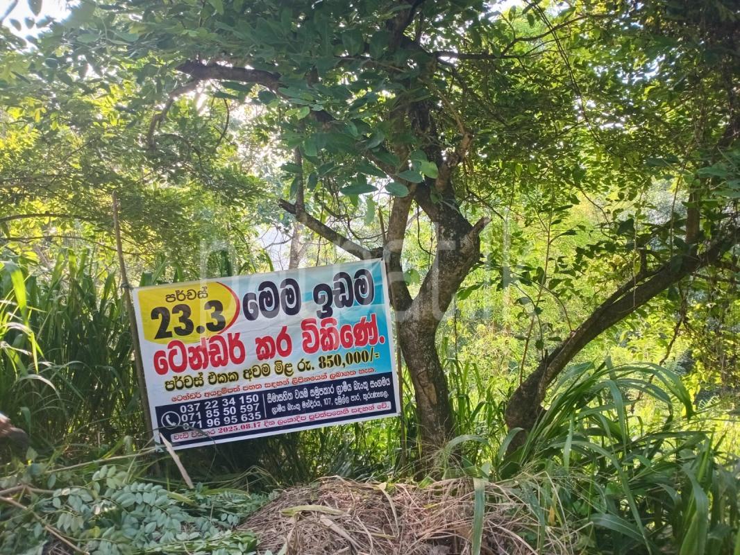 Advertisement image 1