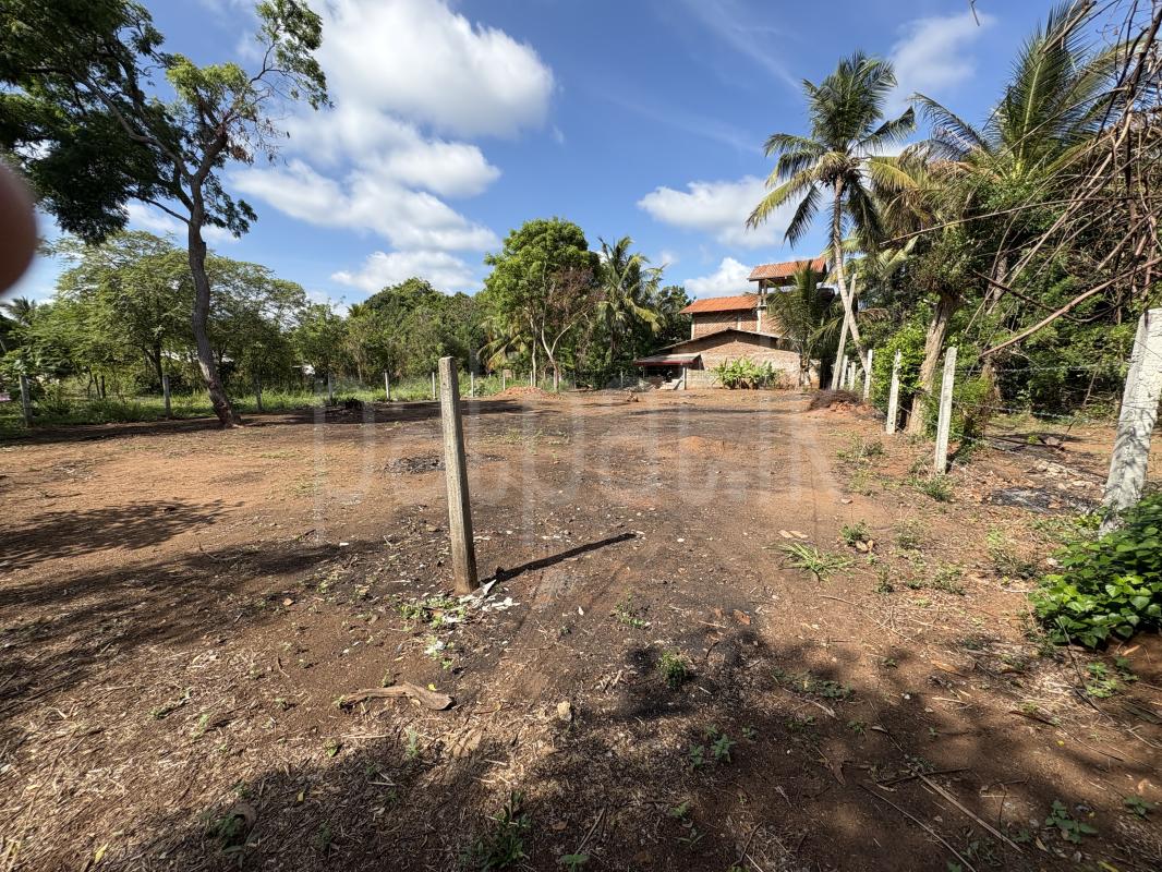 premium-listing-image