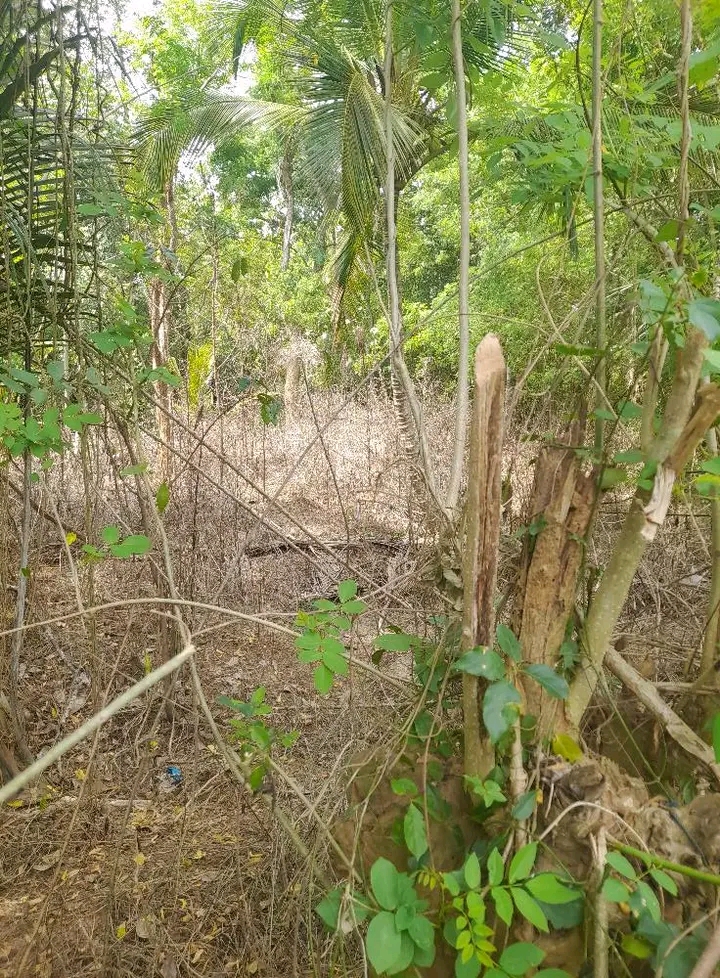 Residential Land for Sale in Tangalla