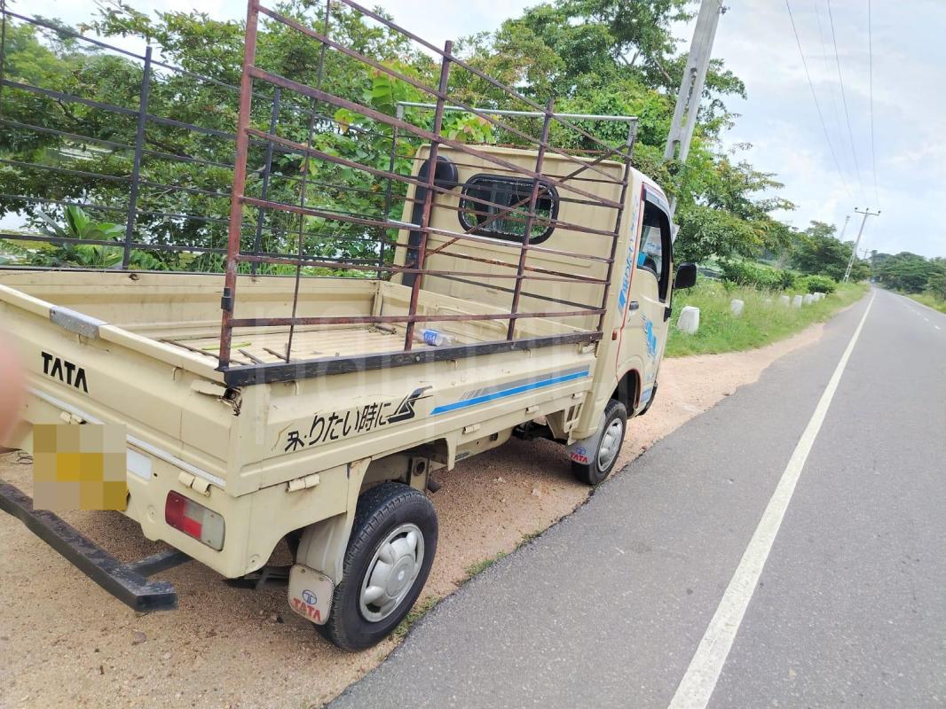 Tata Ace 2011 - Used Truck sale in Sri Lanka - patpat.lk