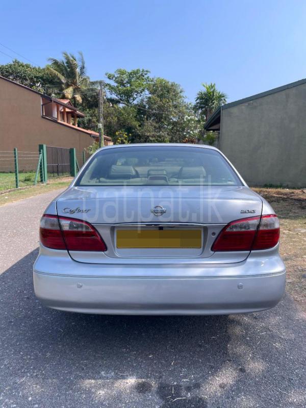 Advertisement image 2